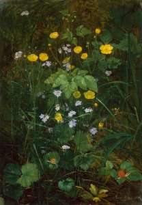 Boterbloemen en Vergeet-mij-nietjes op een Bosvloer