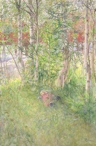 Een dutje buiten door Carl Larsson