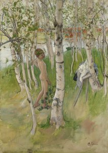Naakte Jongen tussen Berken, 1898