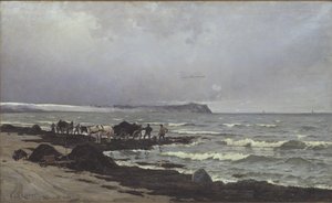Tang wordt geladen op Hornbæk Strand door Carl Locher