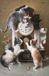 Kattenkaart
