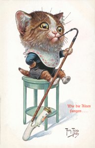 Humoristische kattenkaart door Carl Robert Arthur Thiele