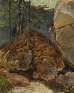 Oliestudie met met mos begroeide rots door Carl Spitzweg
