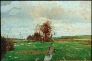 Vochtige weiden