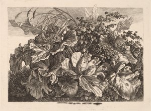 Bladerstudie met riet en hop door Carl Wilhelm Kolbe