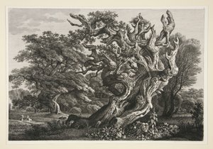 Landschap