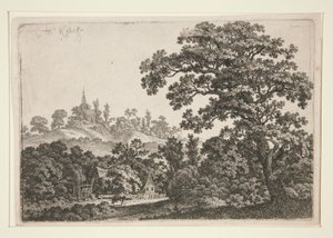 Landschap met molen
