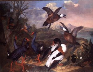 Vogels in een landschap door Carl Wilhelm de Hamilton