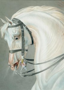 Brug voor de paarden van karabiniers