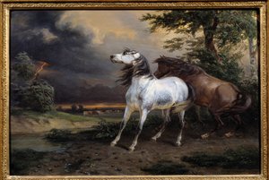 Paarden geschrokken door de storm