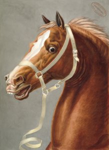 Paradehalster voor de cavalerie door Carle Vernet