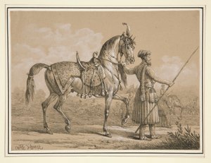 Mamelouk en Arabisch Paard