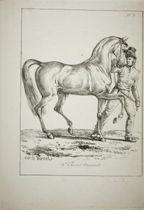 Koninklijke Garde, Normandische Ridder, niet in Vol Ornaat, en Paard, Nr. 3 door Carle Vernet