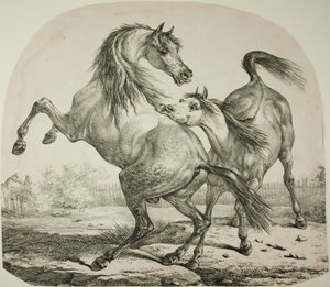 Wilde Paarden die Vechten door Carle Vernet