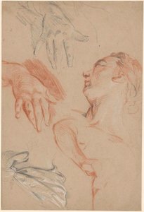  door Carle van Loo