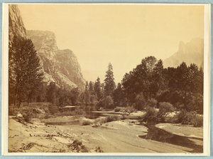 In de vallei, Yosemite door Carleton E. Watkins