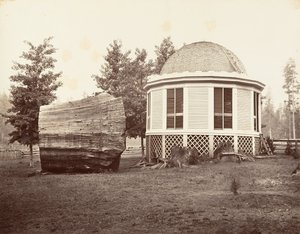 Het huis boven een stomp van een grote boom