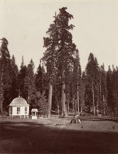 De Wacht, 315 voet, 1865-66, gedrukt ca. 1876 door Carleton Emmons Watkins