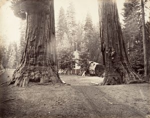 De wachters, 315 voet, Yosemite door Carleton Emmons Watkins