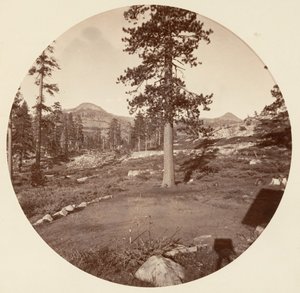 [Yosemite National Park, Californië], ca. 1878 door Carleton Emmons Watkins