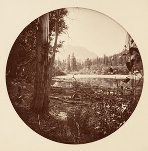 [Yosemite National Park, Californië]