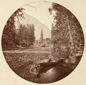 Yosemite National Park, Californië door Carleton Emmons Watkins