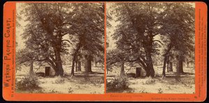 Hut in Camp Grove, Yosemite Valley, Mariposa County, Cal