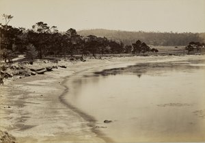 [Uitzicht op de kust bij Monterey] door Carleton Watkins