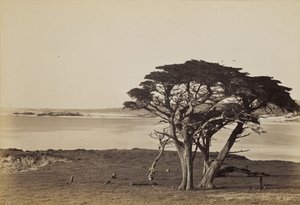  door Carleton Watkins