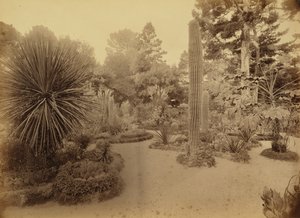 [Monterey, Californië. Arizona Garden, Hotel Del Monte].