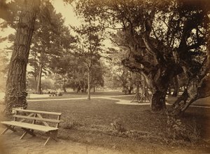 [Monterey, Californië. Hotel Del Monte, Lawn View]. door Carleton Watkins