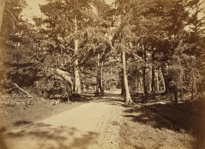 [Monterey, Californië. Moss Avenue, 18 Mile Drive].
