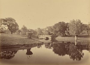  door Carleton Watkins
