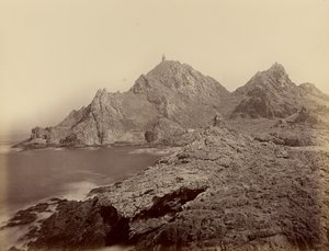 [Uitzicht vanaf de Sugar Loaf-eilanden, Farallons] door Carleton Watkins