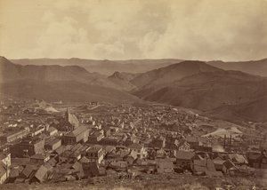  door Carleton Watkins
