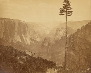 [Yosemite Valley vanaf de Mariposa Trail] door Carleton Watkins