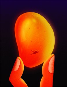  door Carlo Alberto Giardina