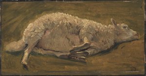 Studie van een liggend schaap door Carlo Dalgas