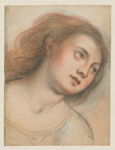Studie voor vrouwelijk hoofd (verso); Hoofd van Christus (recto) door Carlo Francesco Nuvolone