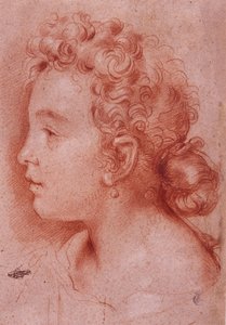Portret van Faustina Maratti