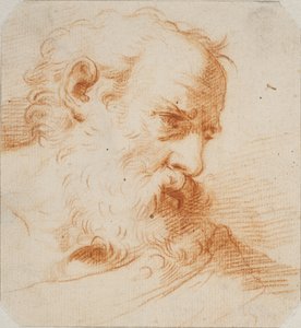 Hoofd van een bebaarde man die naar rechts kijkt door Carlo Maratti