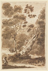 Figuur in het bos door Carlo Marchionni