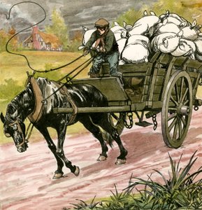 Zwarte Schoonheid door Carlos Gabriel Roume