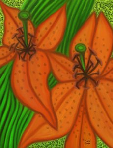 Twee lelies door Carol Sousa Cuello