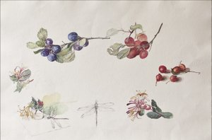 Herfstvruchten en bloemen, 2007