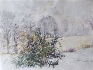 Winter vanuit ons raam, 2009
