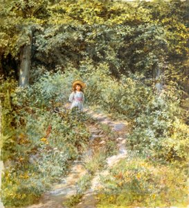 Het pad door het bos