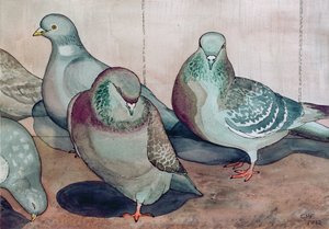 Duiven