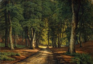 Een bebost landschap met herten door Carsten Henrichsen