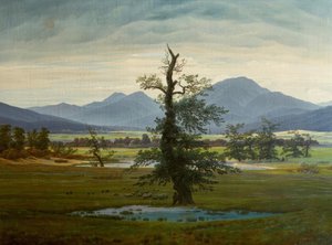 Dorpslandschap bij ochtendlicht